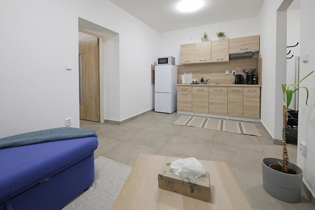 Libice nad Cidlinou Fara No71 Apart 3 מראה חיצוני תמונה